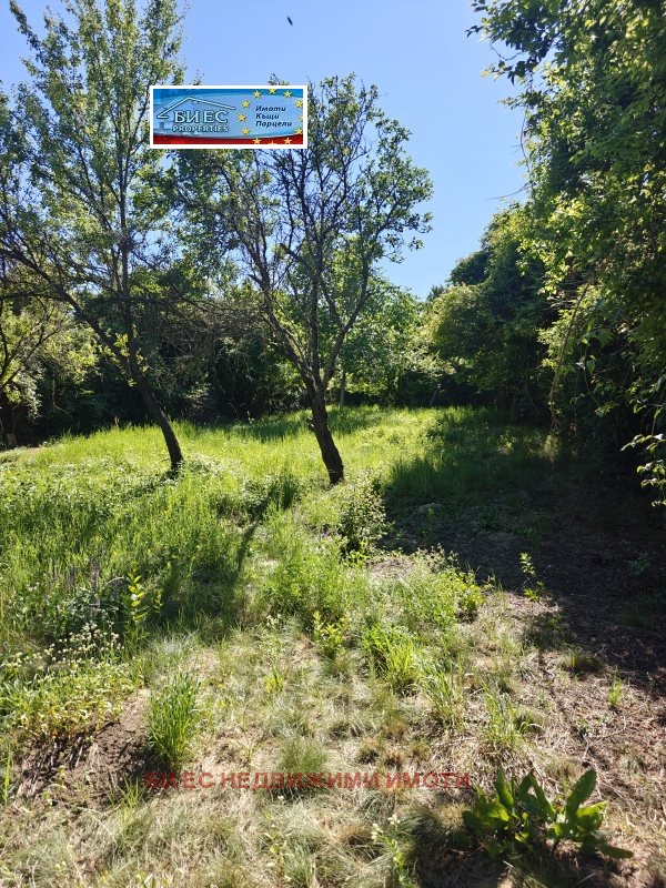 Продава ПАРЦЕЛ, с. Николаево, област Перник