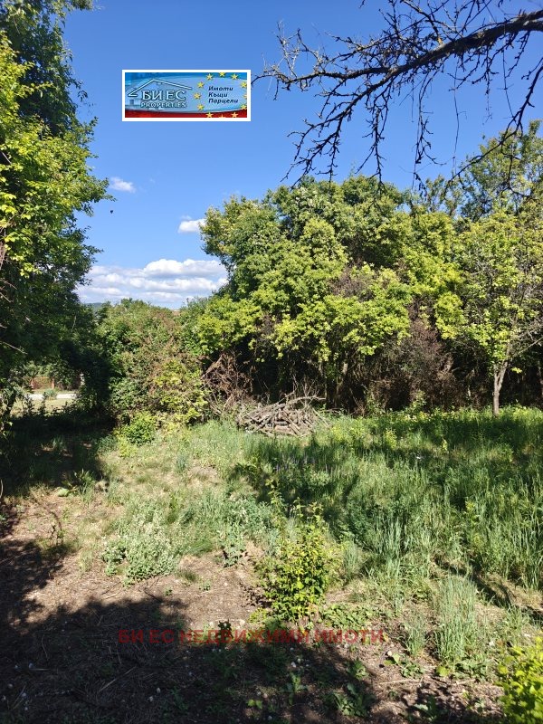 Продава ПАРЦЕЛ, с. Николаево, област Перник, снимка 4 - Парцели - 55266534