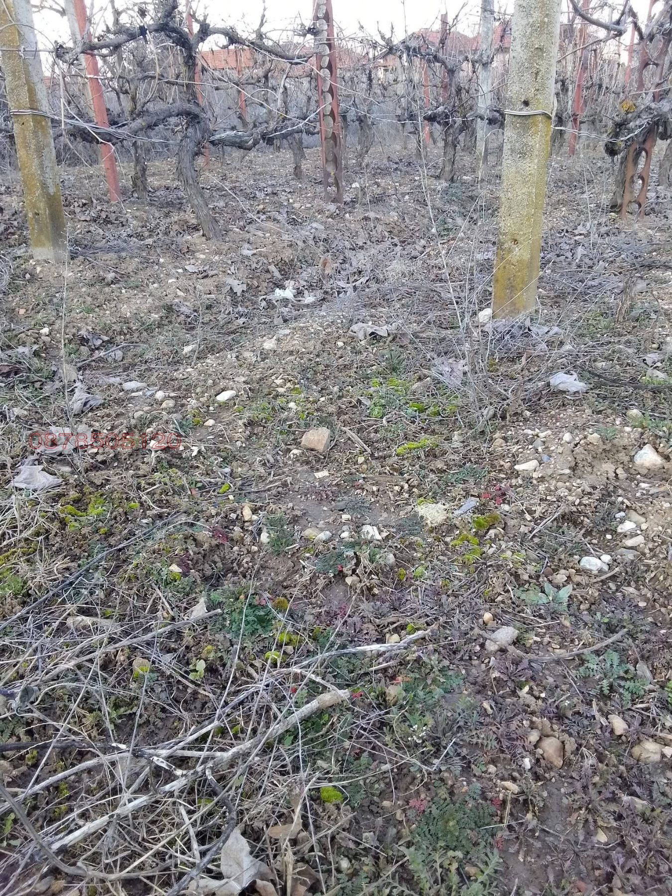 Продава ПАРЦЕЛ, с. Ново Лески, област Благоевград, снимка 3 - Парцели - 53895718