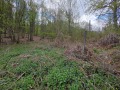 Продава ПАРЦЕЛ, с. Черни Осъм, област Ловеч, снимка 8