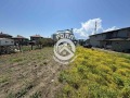 Продава ПАРЦЕЛ, област Пловдив, с. Йоаким Груево • 36700 € • 10576482 — Holmes.bg