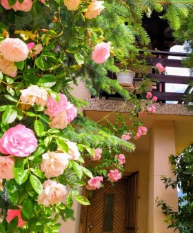 Casa Jrabrino, región Plovdiv