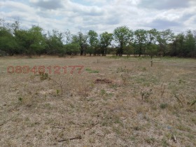 ������� ���� | Imot.bg � ����� ������ 8