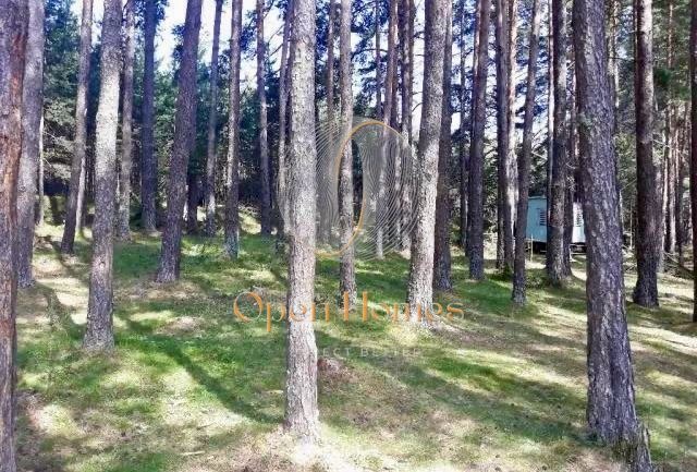 Продава ЗЕМЕДЕЛСКА ЗЕМЯ, с. Добралък, област Пловдив, снимка 2 - Земеделска земя - 52564739