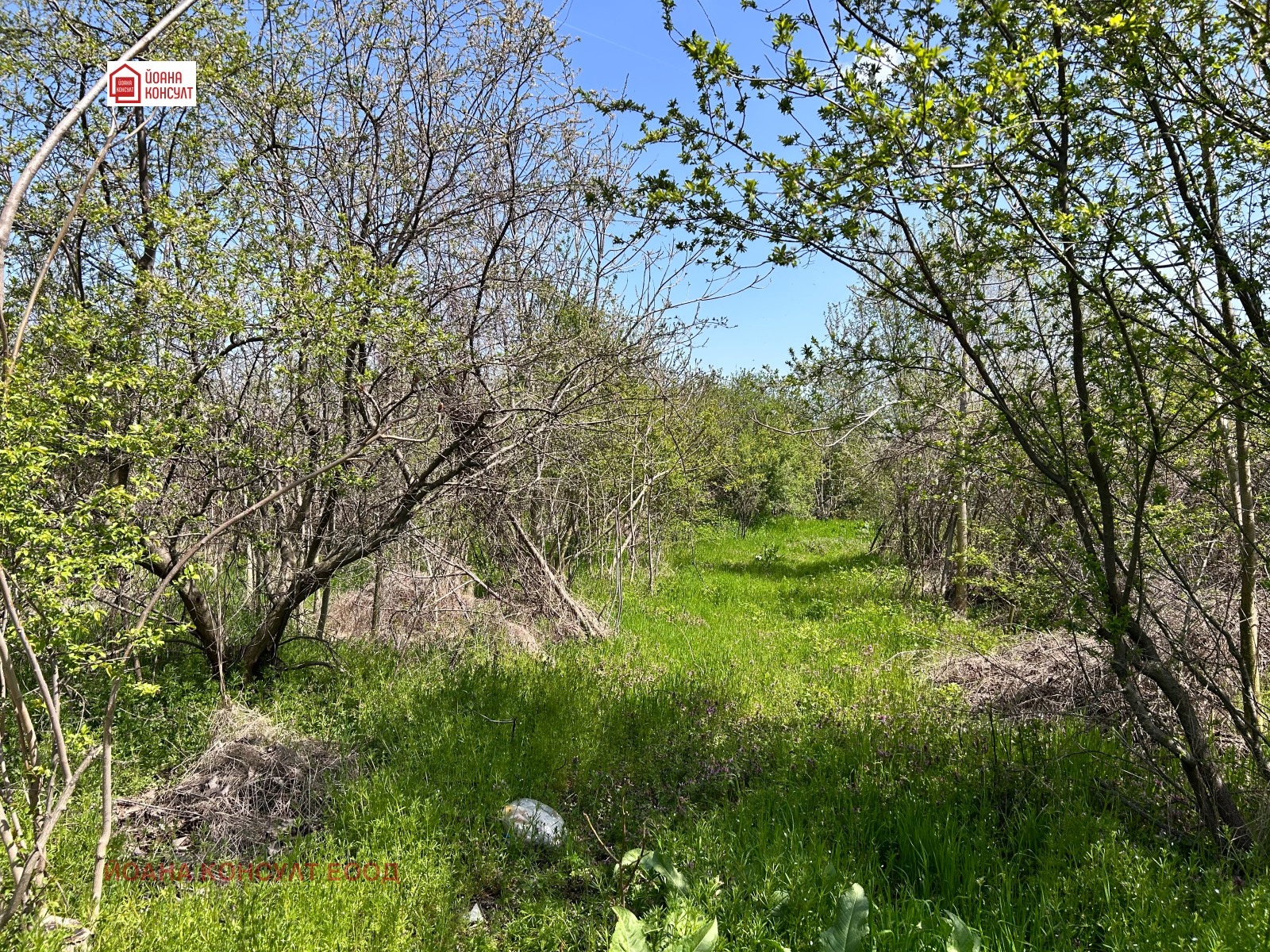 Продава КЪЩА, с. Върбица, област Плевен, снимка 4 - Къщи - 54620258