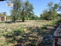 Продава КЪЩА, с. Манастир, област Варна, снимка 8