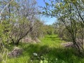 Продава  Къща област Плевен , с. Върбица , 130 кв.м | 76204280 - изображение [4]