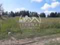 Продава ЗЕМЕДЕЛСКА ЗЕМЯ, гр. Белица, област Благоевград, снимка 4 - Земеделска земя - 44774422