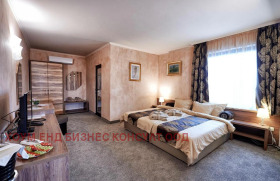 Hotel Elin Pelin, region Sofia 11