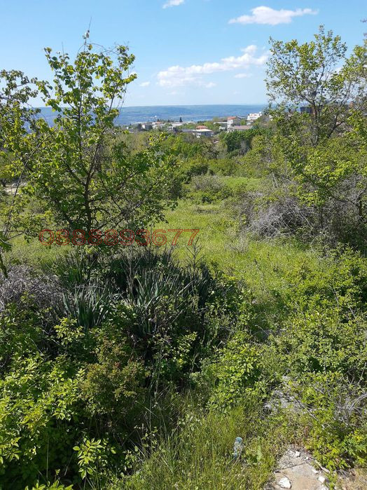 Продава ПАРЦЕЛ, гр. Варна, Изгрев, снимка 7 - Парцели - 52780007