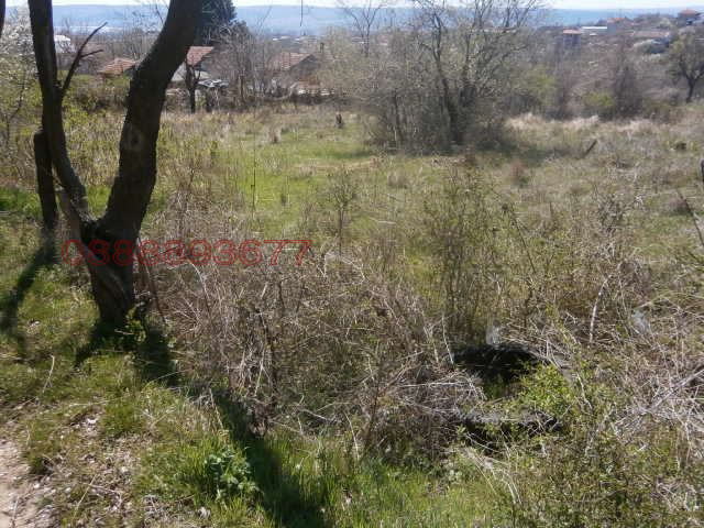 Продава ПАРЦЕЛ, гр. Варна, Изгрев, снимка 12 - Парцели - 52780007