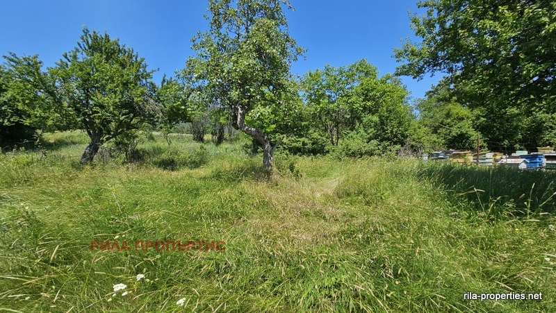 Продава  Парцел област София , с. Очуша , 977 кв.м | 10918037 - изображение [4]