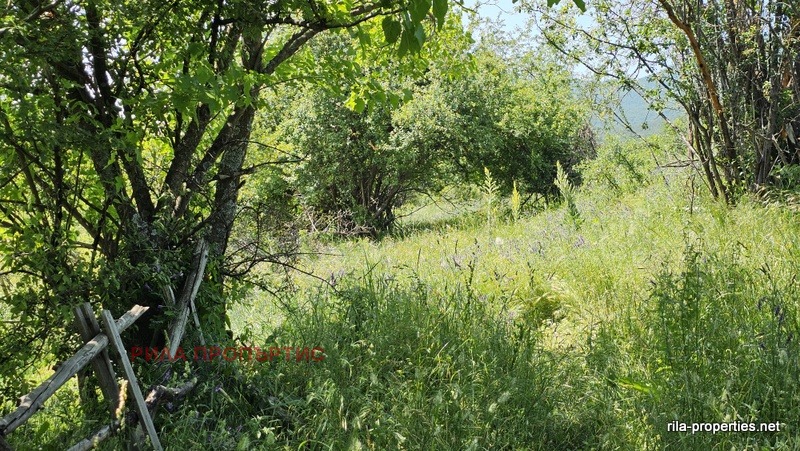 Продава  Парцел област София , с. Очуша , 977 кв.м | 10918037 - изображение [8]
