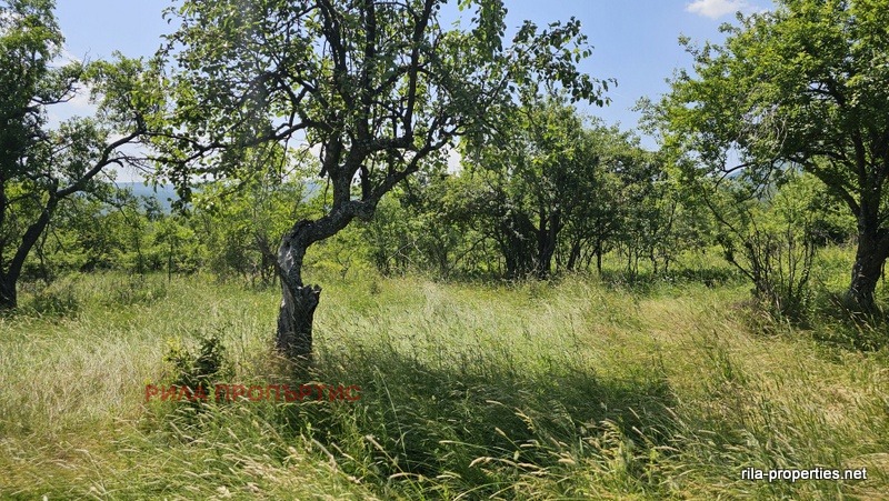 Продава  Парцел област София , с. Очуша , 977 кв.м | 10918037 - изображение [6]