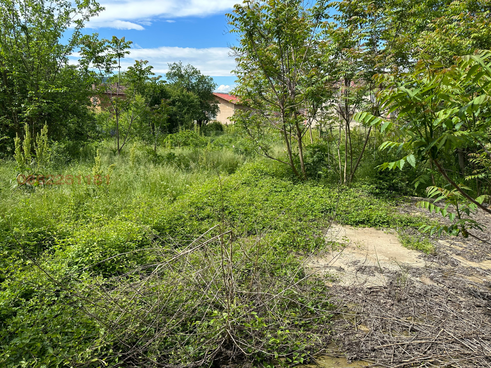 Продава КЪЩА, с. Охрид, област Монтана, снимка 16 - Къщи - 54842941