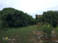 Продава КЪЩА, с. Торос, област Ловеч, снимка 15