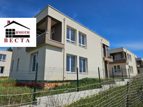 ������ ������� ����