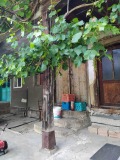 Продава КЪЩА, с. Станчов хан, област Габрово, снимка 3