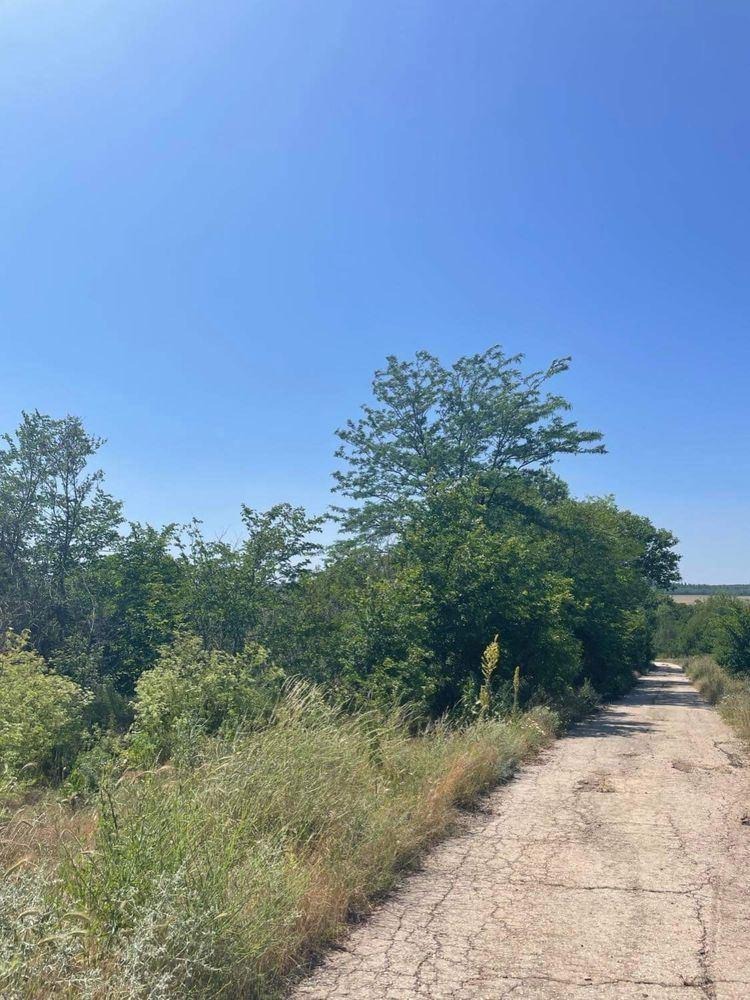 ������� ������ | Imot.bg � ����������� 1