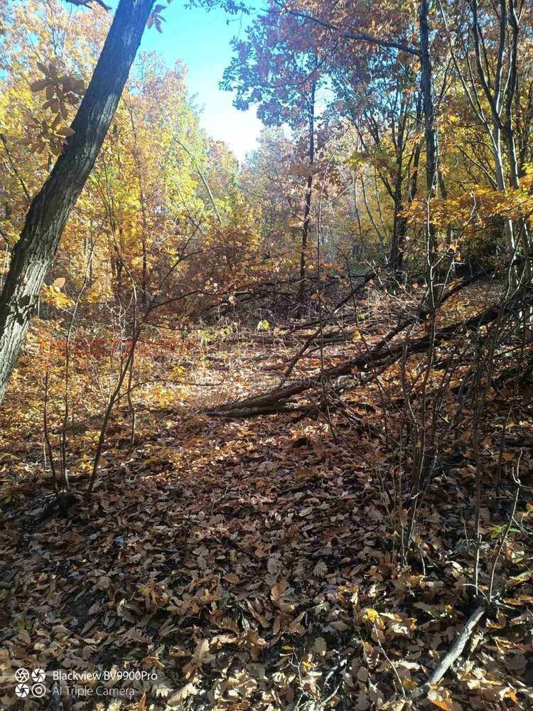 ������� ���������� ���� | Imot.bg � ����������� 5