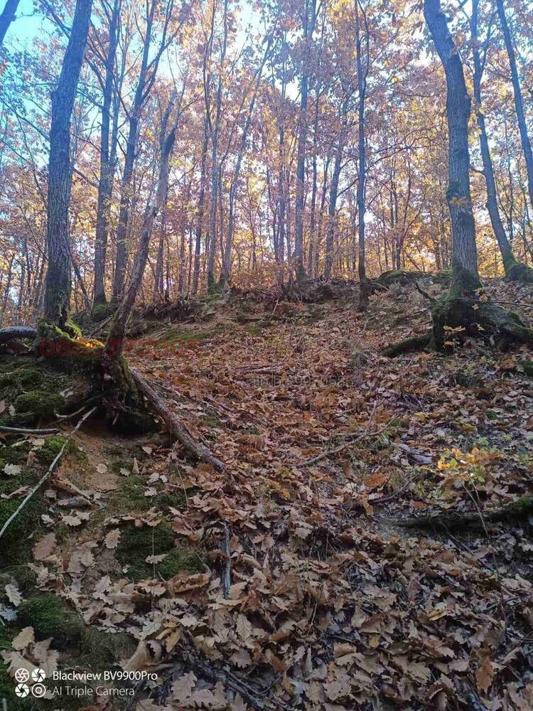 ������� ���������� ���� | Imot.bg � ����������� 2