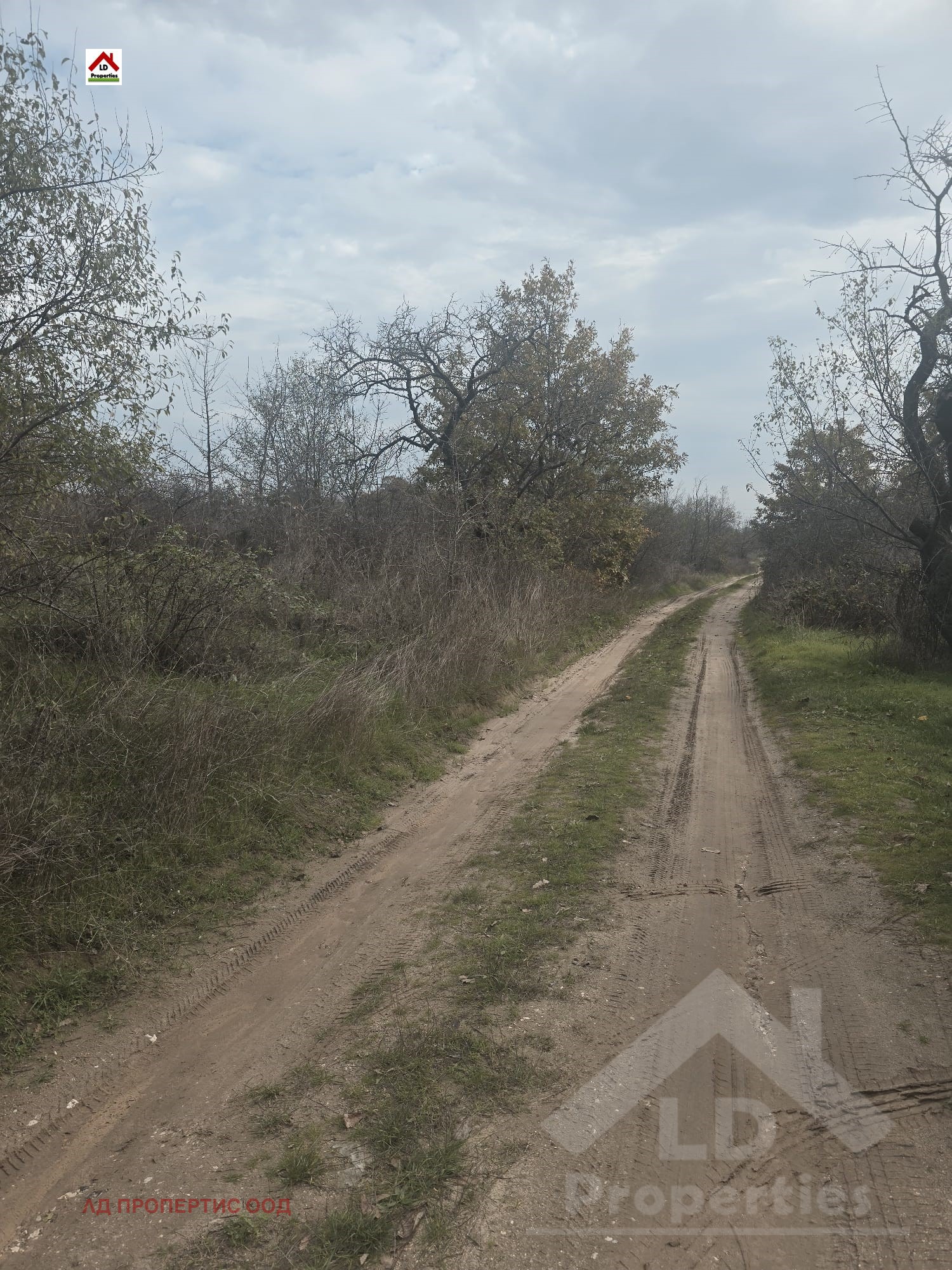 ������� ������ | Imot.bg � ����������� 12