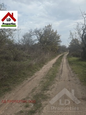 ������� ������ | Imot.bg � ����� ������ 12