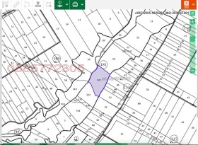 ������ ������� ���������� ����