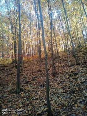 ������� ���������� ���� | Imot.bg � ����� ������ 4