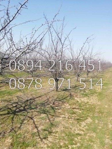 ������� ���������� ���� | Imot.bg � ����������� 1