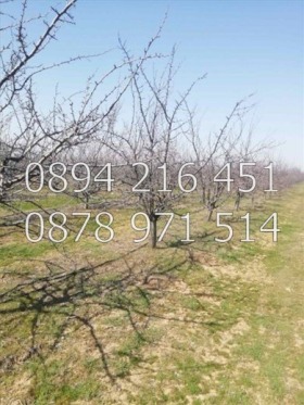 ����� ������� ���������� ����,�. ��������, ������ �������