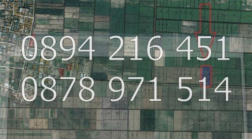 Продава ЗЕМЕДЕЛСКА ЗЕМЯ, с. Цалапица, област Пловдив, снимка 7 - Земеделска земя - 54250123