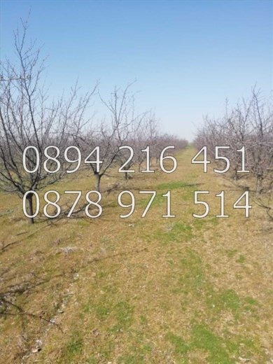 Продава ЗЕМЕДЕЛСКА ЗЕМЯ, с. Цалапица, област Пловдив, снимка 2 - Земеделска земя - 54250123