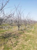 Продава ЗЕМЕДЕЛСКА ЗЕМЯ, с. Цалапица, област Пловдив, снимка 1