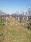 Продава ЗЕМЕДЕЛСКА ЗЕМЯ, с. Цалапица, област Пловдив, снимка 3