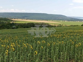 Komplo General Kantardjievo, bölge Varna