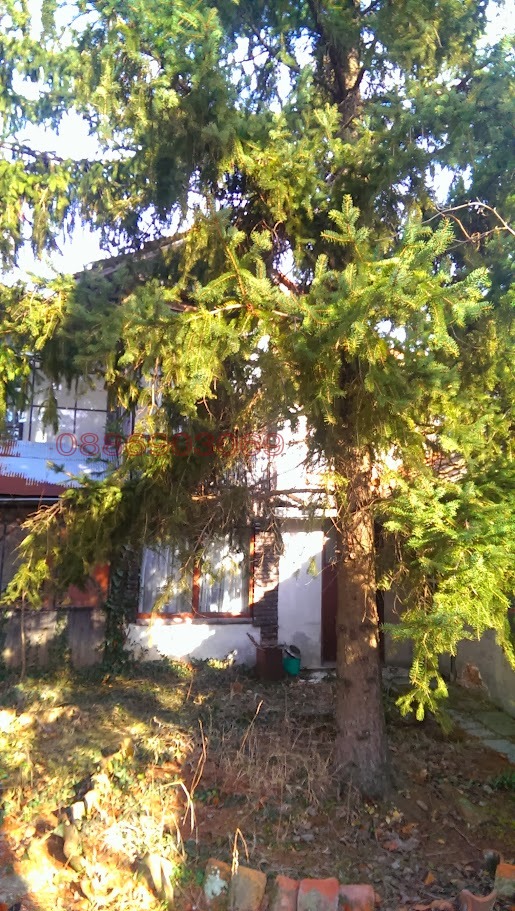 À vendre  Maison région Razgrad , Pobit kamak , 80 m² | 55609301 - image [4]