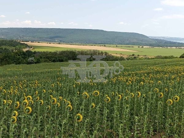 Satılık  Komplo bölge Varna , General Kantardjievo , 659 metrekare | 26354388