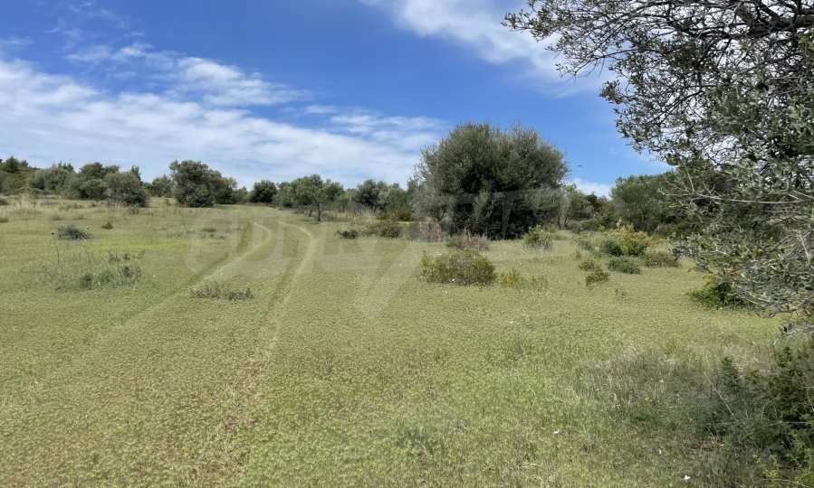 Продава ПАРЦЕЛ | Imot.bg — изображение 7