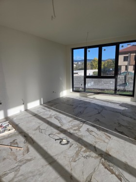 ����� ������� ����,���� �����������, �������