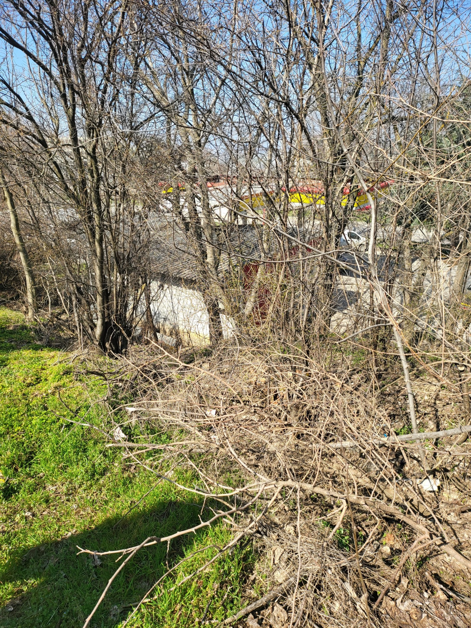 Продава ПАРЦЕЛ, с. Згалево, област Плевен, снимка 5 - Парцели - 54081926