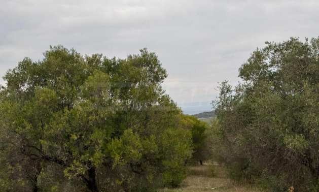 Продава ПАРЦЕЛ | Imot.bg — изображение 2