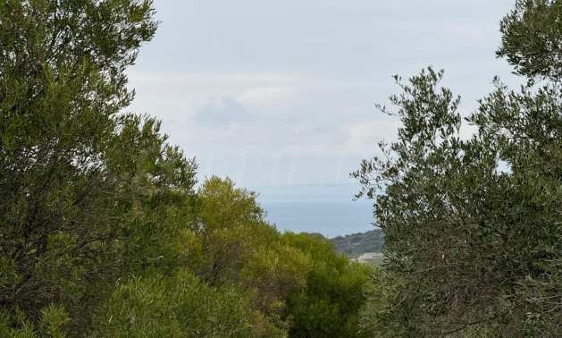 Продава ПАРЦЕЛ | Imot.bg — изображение 1