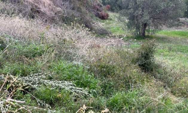 Продава ПАРЦЕЛ | Imot.bg — изображение 3