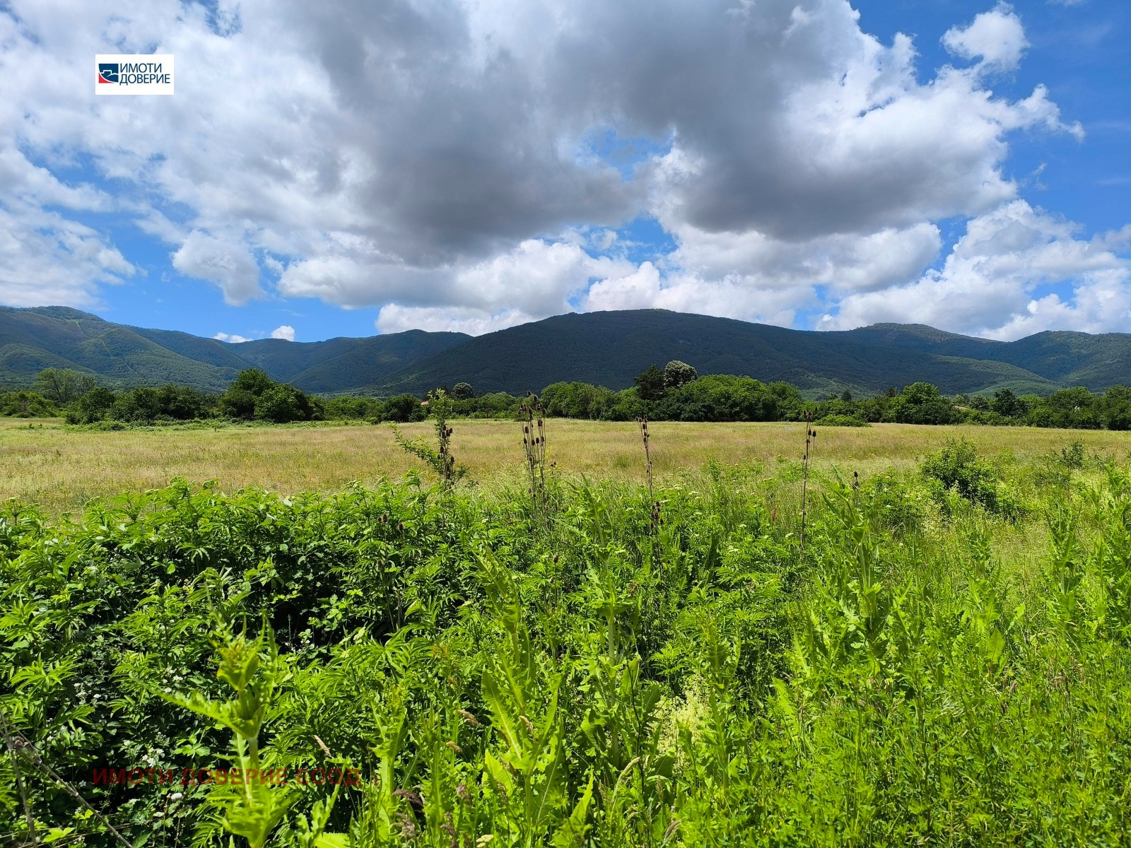 ������� ���� | Imot.bg � ����������� 12