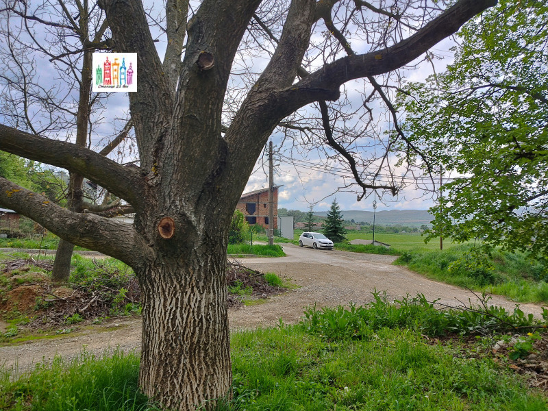 Продава КЪЩА, с. Дрен, област Перник, снимка 6 - Къщи - 52646960