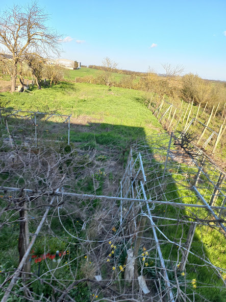 Продава ВИЛА, с. Славеево, област Добрич, снимка 12 - Вили - 54258585