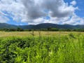 Продава КЪЩА, с. Радотина, област София област, снимка 12
