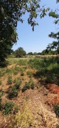 Продава КЪЩА, област Добрич, гр. Шабла • 39990 € • 36196377 — Holmes.bg