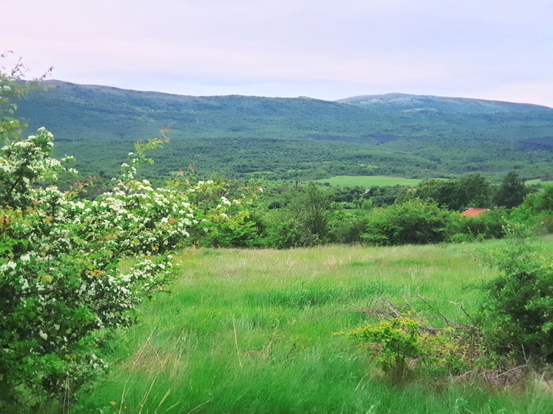 Продава КЪЩА, с. Туден, област София област, снимка 6 - Къщи - 52888820